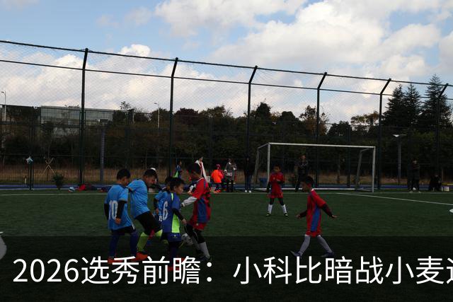 2026选秀前瞻：小科比暗战小麦迪 状元三选一？
